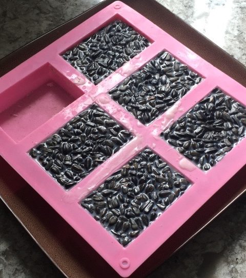 Homemade Deer Suet – Make deer fat into bird suet